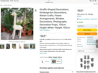 Can MN find this giant wicker giraffe??