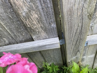 Garden fence problem