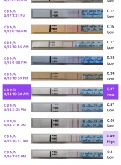 Second cycle after CP- CD16: Failed to ovulate and spotting? Help! (sensitive images!)