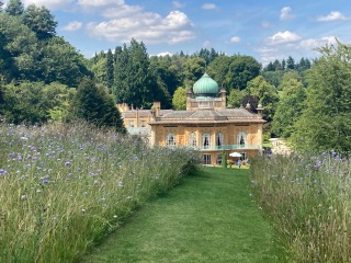 The Great Cancer Recovery part 3