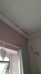 Old terrace house - what is this on the wall?