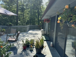 Come and tell me your dull and unexciting news 30: Calmly through the day