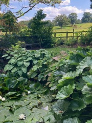 Come and tell me your dull and unexciting news 30: Calmly through the day