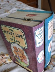 Can anyone help me remember this toy?