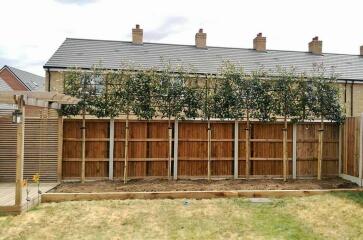 Garden overlooked