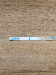 Clear blue test. Evap line or positive