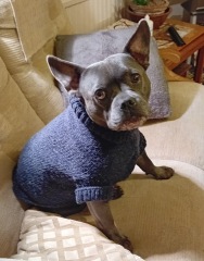 The support thread for anyone trying to lead an alcohol free life.