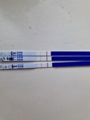 Line progression reassurance