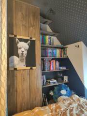 Help with my teen’s bed/storage/desk?