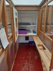 Oh help me, I looked at the "cats needing homes" page!