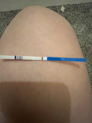 TTC July 2024 ✨♥️