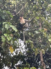 Come and tell me your dull and unexciting news 30: Calmly through the day