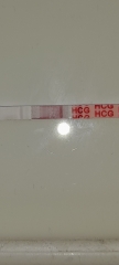 Wondfo test looks positive but could it be a dye run?