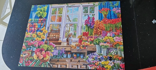 Jigsaw Puzzles