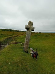 The support thread for anyone trying to lead an alcohol free life.