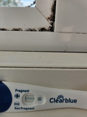 Clearblue