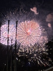 Come and tell me your dull and unexciting news 30: Calmly through the day