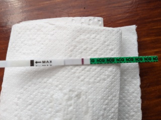 TTC July 2024 ✨♥️