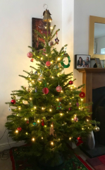 Spring has sprung...let's Countdown to Christmas 2024 (Thread 2)