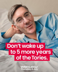 Voting for the party vs the candidate