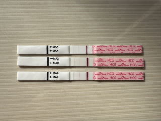 Easy at home reliability? Evap/faulty test?