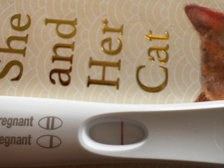 A line eye enthusiast #3