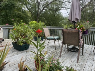 Come and tell me your dull and unexciting news 30: Calmly through the day