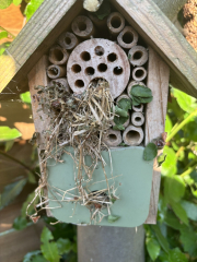 To wonder where the bees are