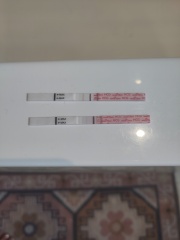 12dpo are lines to faint