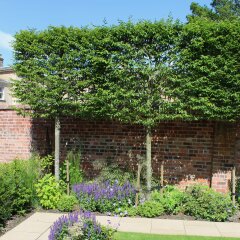 Garden overlooked