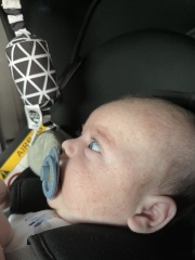 Aptamil pepti 1 - stick it out?