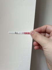 WONDFO indent lines
