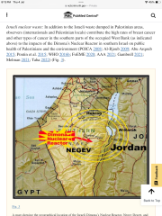 Newborn babies now have little chance of survival in Gaza - hospital director warns