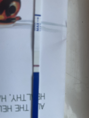 Anyone else just starting there 2WW