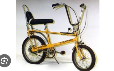 What did the popular kids all have at your school?