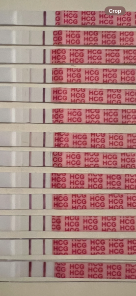 Is this a vvvfl or false positive?