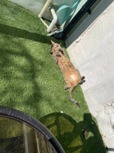 Erm… HELP please!!