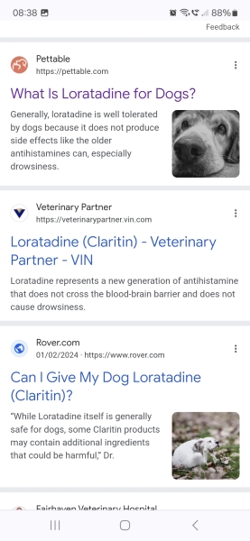Loratadine for dogs allergies?