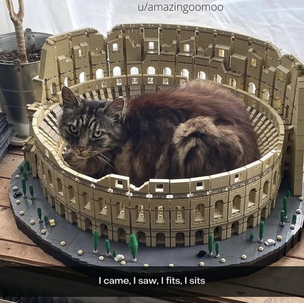 Thread 6 Starmer: We're going to need a bigger skip!