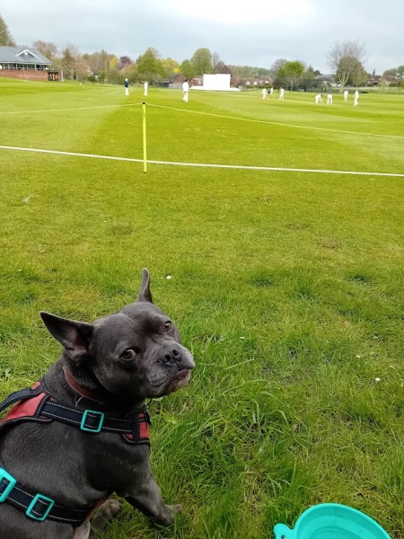 The support thread for anyone trying to lead an alcohol free life.