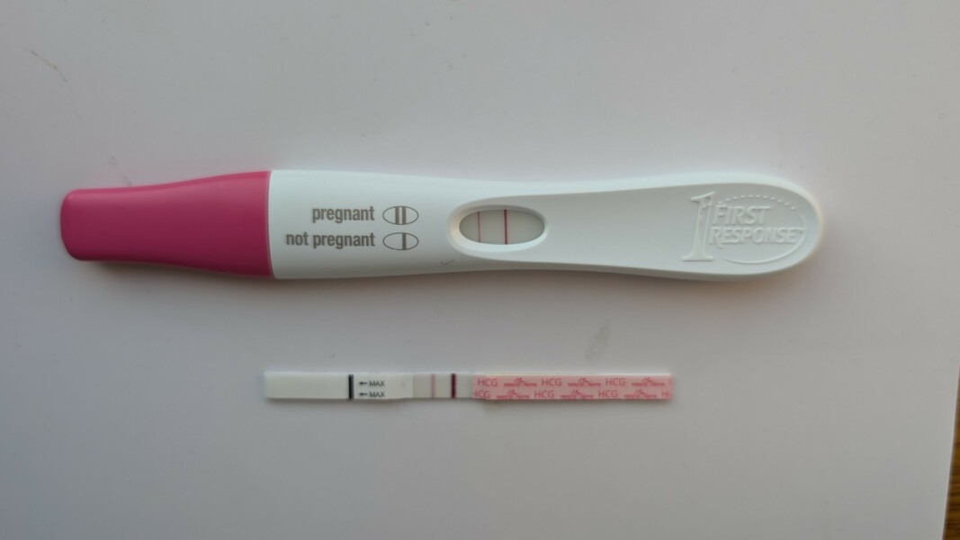 Due April 2025 ✨