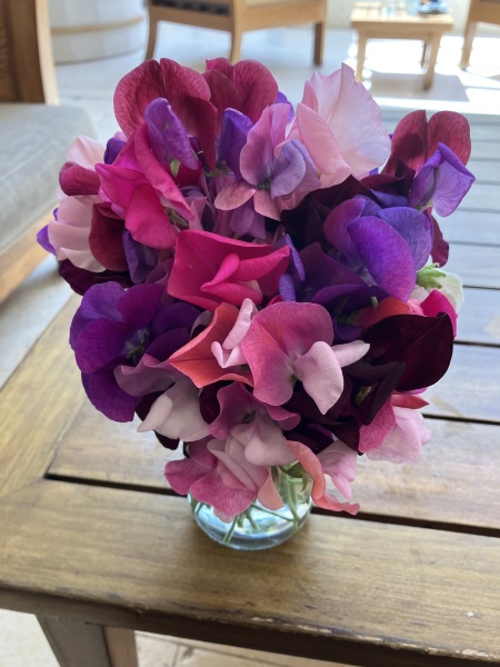 Does anyone know where I can buy these sweet pea seeds?