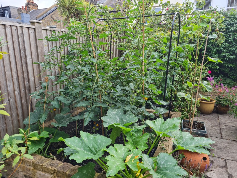 50 Books Challenge 2024 Part Six