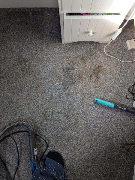Spot wash machine - think it's my new favorite thing!