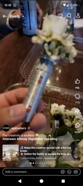 Spring has sprung...let's Countdown to Christmas 2024 (Thread 2)