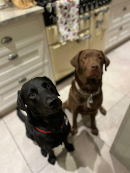 Cheer me up please!