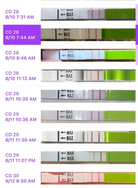 Help reading ovulation tests