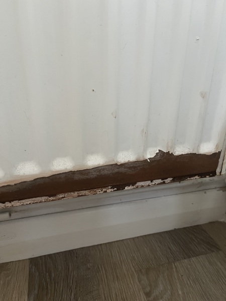 Does anyone know why my radiator has gone like this?
