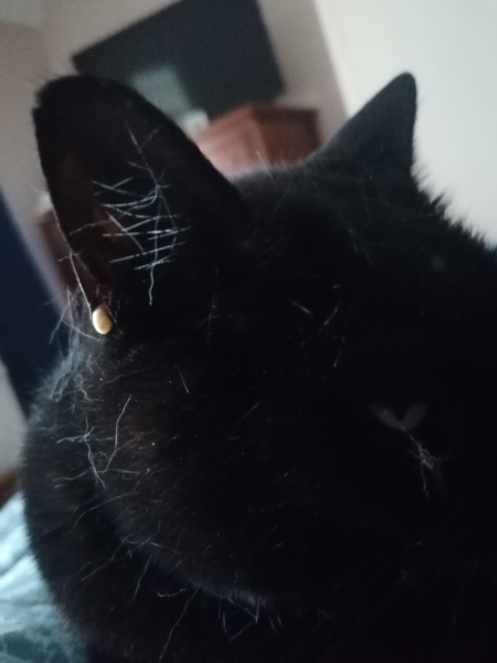 Help! Is this a tick?
