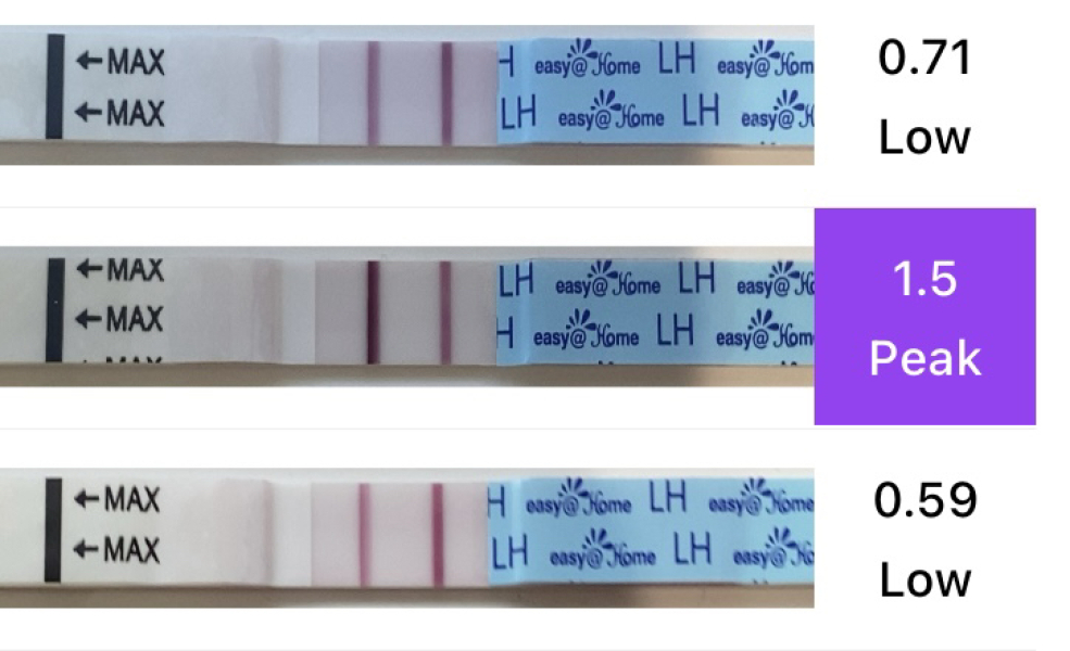 Ovulation strip confusion